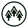 Understory